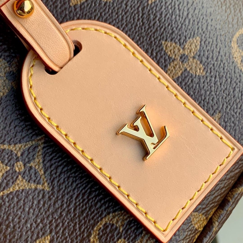 LV Satchel bags